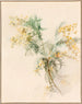 Mimosas - Lilly Walther — vista dell’opera