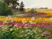 Paesaggio di Suvine - Lilly Walther — vista dell’opera