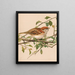 Moineau friquet - Léon-Paul Robert — quadro incorniciato alla parete
