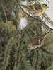 Collection - Léon Paul Robert — vista dell’opera
