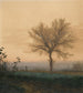 Paesaggio con un albero spoglio e un contadino - Léon Bonvin — vista dell’opera