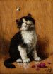 Chaton con farfalla - Léon Huber — vista dell’opera