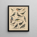 Illustrazioni per la Storia naturale generale di Oken per tutte le classi Pl041 - Lorenz Oken — quadro incorniciato alla parete