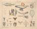 Illustrazioni della Storia naturale generale di Oken per tutti gli stati Pl071 - Lorenz Oken — vista dell’opera
