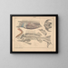 Illustrazioni della storia naturale generale di Oken per tutti gli stati Pl103 - Lorenz Oken — quadro incorniciato alla parete