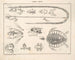Illustrazioni della storia naturale generale di Oken per tutti gli stati Pl116 - Lorenz Oken — vista dell’opera