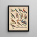 Illustrazioni per la Storia naturale generale di Oken per tutte le classi Pl122 - Lorenz Oken — quadro incorniciato alla parete