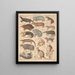 Illustrazioni per la Storia naturale generale di Oken per tutte le classi Pl134 - Lorenz Oken — quadro incorniciato alla parete