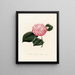 Iconographie del genere Camellia Pl030 - Lorenzo Bartolini — quadro incorniciato alla parete