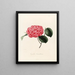 Iconografia del genere Camellia Pl041 - Lorenzo Bartolini — quadro incorniciato alla parete