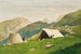 Costruzione del campo - Lorenzo Delleani — vista dell’opera