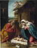 La Natività - Lorenzo Lotto — vista dell’opera