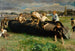 Les ravageurs - Louis-Joseph Anthonissen — vista dell’opera