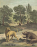 La Lionne Et L'ours The Lion And The Bear - Louis-Simon Lempereur — vista dell’opera