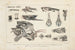 Ricerche sui pesci fossili Pl101 - Louis Agassiz — vista dell’opera