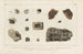 Ricerche sui pesci fossili, Pl177 - Louis Agassiz — vista dell’opera