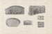 Ricerche sui pesci fossili Pl261 - Louis Agassiz — vista dell’opera