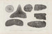 Ricerche sui pesci fossili Pl265 - Louis Agassiz — vista dell’opera