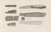 Ricerche sui pesci fossili Pl281 - Louis Agassiz — vista dell’opera