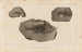Ricerche sui pesci fossili Pl357 - Louis Agassiz — vista dell’opera