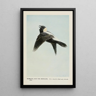 Louis Agassiz Fuertes - Bubbling Bob the Bobolink.webp