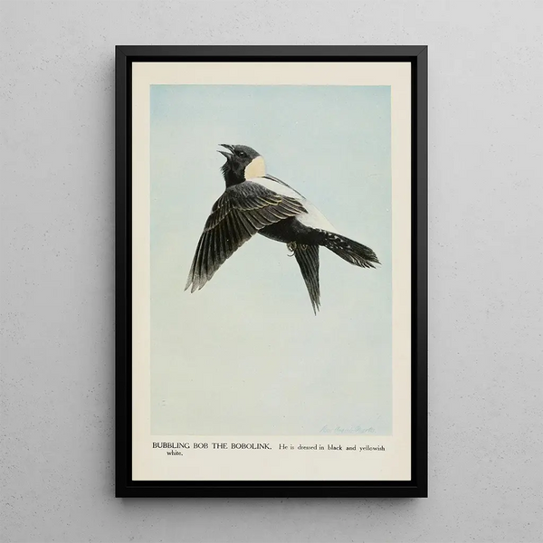 Louis Agassiz Fuertes - Bubbling Bob the Bobolink.webp