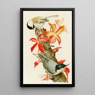 Louis Agassiz Fuertes - ChickadeeWhiteBreasted Nuthatch.webp