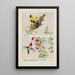 Chicorée le chardonneret Hummer le colibri à gorge rubis - Louis Agassiz Fuertes — quadro incorniciato alla parete
