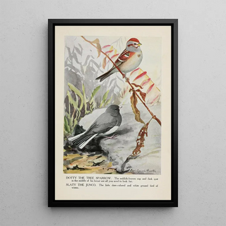 Louis Agassiz Fuertes - Dotty the Tree Sparrow Slaty the Junco.webp