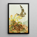 Engoulevent-poor-will - Louis Agassiz Fuertes — quadro incorniciato alla parete