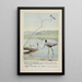 Rattles le Martin-pêcheur Teeter le Chevalier grivelé Longlegs le Grand Héron bleu - Louis Agassiz Fuertes — quadro incorniciato alla parete