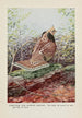 Strutter le Tétras huppé - Louis Agassiz Fuertes — vista dell’opera