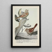 Sweet Voice le Bruant des prés Little Friend le Bruant chanteur - Louis Agassiz Fuertes — quadro incorniciato alla parete