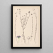 Herbier de la flore française Pl0019 - Louis Antoine Cusin — quadro incorniciato alla parete