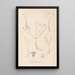 Herbier de la flore française Pl0023 - Louis Antoine Cusin — quadro incorniciato alla parete