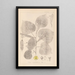 Herbier de la flore française Pl0025 - Louis Antoine Cusin — quadro incorniciato alla parete
