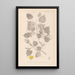 Herbier de la flore française Pl0026 - Louis Antoine Cusin — quadro incorniciato alla parete