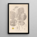 Herbier de la flore française Pl0029 - Louis Antoine Cusin — quadro incorniciato alla parete