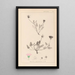 Herbier de la flore française Pl0031 - Louis Antoine Cusin — quadro incorniciato alla parete