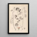 Herbier de la flore française Pl0035 - Louis Antoine Cusin — quadro incorniciato alla parete