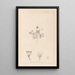 Herbier de la flore française Pl0038 - Louis Antoine Cusin — quadro incorniciato alla parete