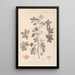 Herbier de la flore française Pl0039 - Louis Antoine Cusin — quadro incorniciato alla parete