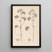 Herbier de la flore française Pl0041 - Louis Antoine Cusin — quadro incorniciato alla parete