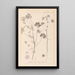 Herbier de la flore française Pl0044 - Louis Antoine Cusin — quadro incorniciato alla parete
