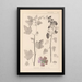 Herbier de la flore française Pl0047 - Louis Antoine Cusin — quadro incorniciato alla parete