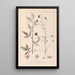 Herbier de la flore française Pl0052 - Louis Antoine Cusin — quadro incorniciato alla parete