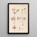 Herbier de la flore française Pl0057 - Louis Antoine Cusin — quadro incorniciato alla parete