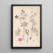 Herbier de la flore française Pl0058 - Louis Antoine Cusin — quadro incorniciato alla parete