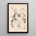 Herbier de la flore française Pl0071 - Louis Antoine Cusin — quadro incorniciato alla parete