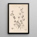 Herbier de la flore française Pl0083 - Louis Antoine Cusin — quadro incorniciato alla parete
